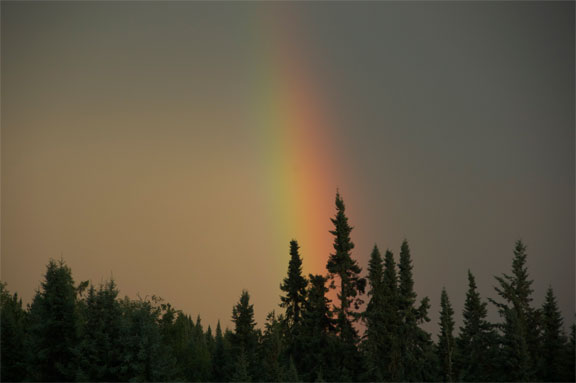 After a storm east of Dryden