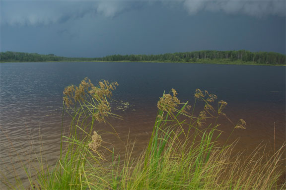 A storm brewing in Upsala