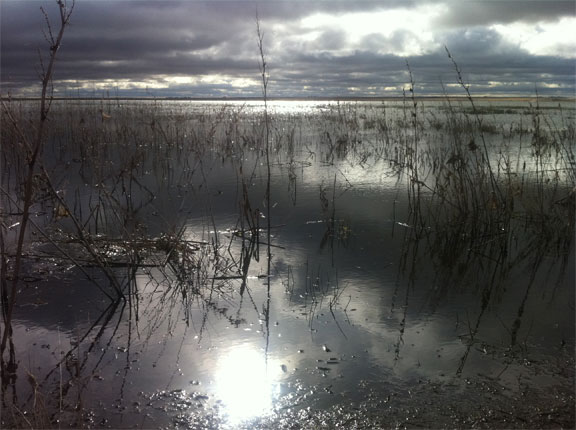 Lake near Morse
