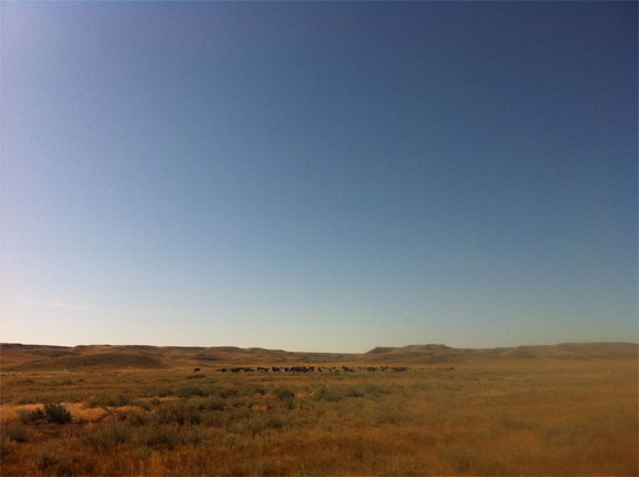day246-picture2