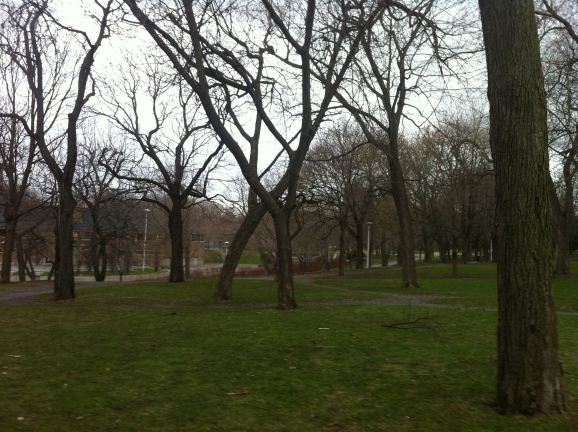 day102-picture1