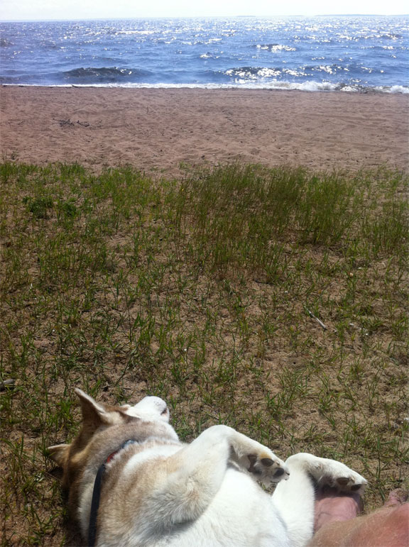 day162-picture2