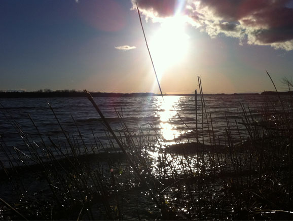 day73-picture3