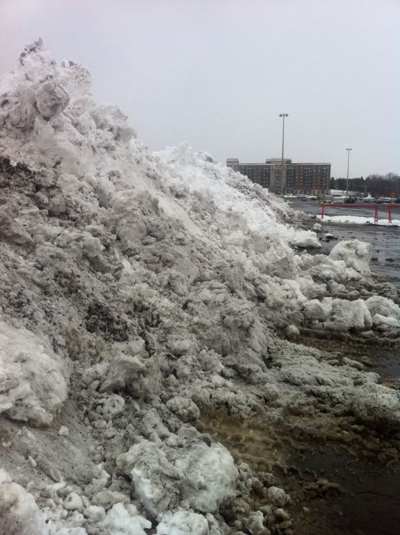 Sarah and I heard this snow being piled all night long!
