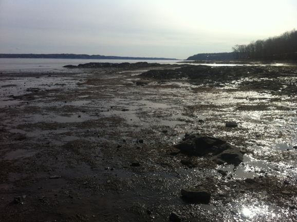 Looking down the St. Lawrence towards Montreal