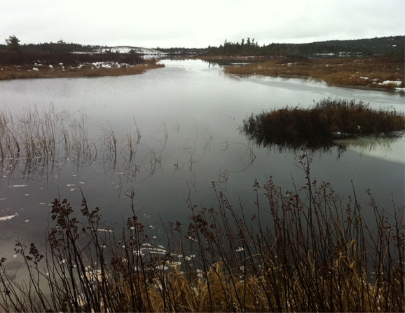 A beautiful lake between Whitbourne and Chapel Arm