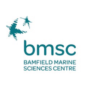 Bmsc