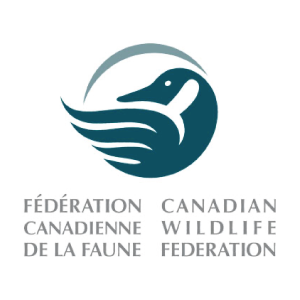 Cwf