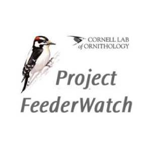 Feederwatch