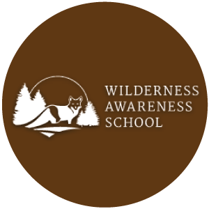 Wilderness Awareness
