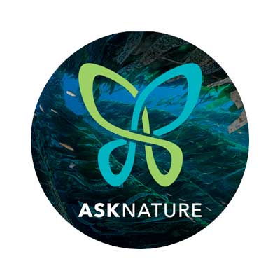 Ask Nature