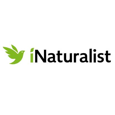 Inaturalist 1