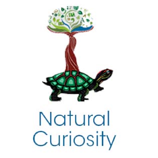 Natural Curiosity 2
