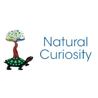 Natural Curiosity 2