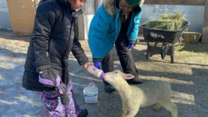 Akachi Farms Blog Post 10