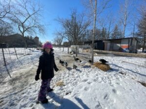 Akachi Farms Blog Post 13