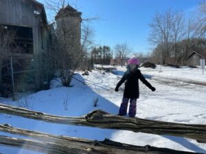 Akachi Farms Blog Post 15