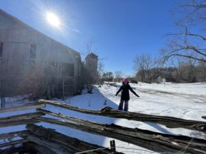 Akachi Farms Blog Post 17
