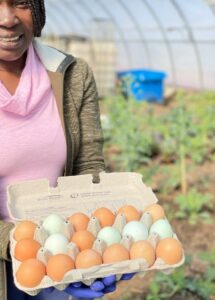 Akachi Farms Blog Post 4