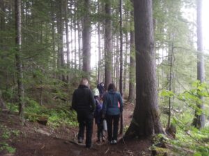 FirstForest1