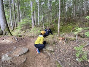 FirstForest2