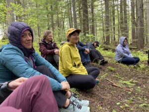 ForestGroup1