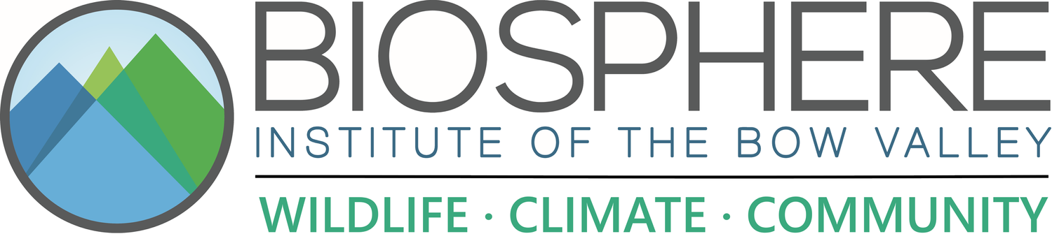 BiosphereInstitute Logo