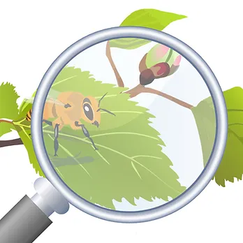 LogoDesScienceDehors