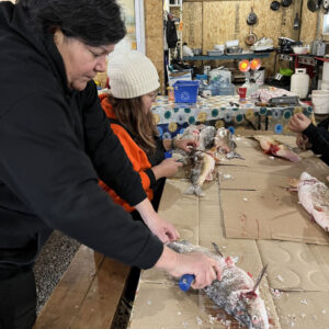 Thumbnail IMG 4682   Janice Linklater
