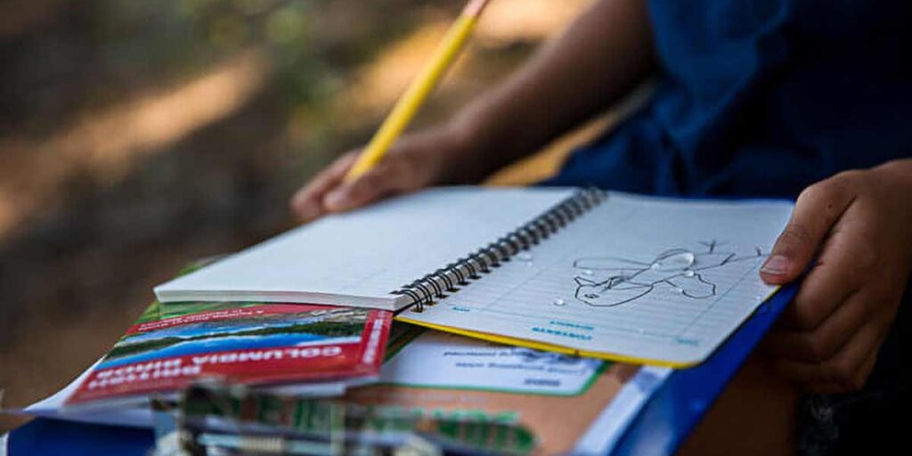 NatureJournaling OLS