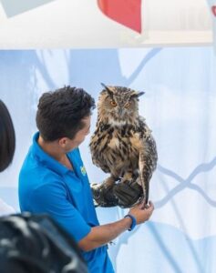 AuXg8FL5 (3)   Karen Horsman