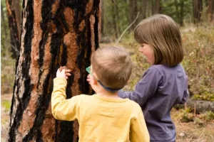 Sensory Play   Lynn Jobe
