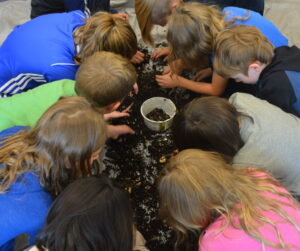 DSC 1235   Biosphere Education