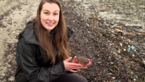 Daphnebeach   Toby Plant