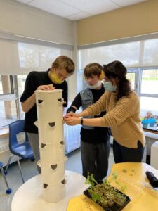 Holy Tinity Special Education   Courtice ON   Tower Garden 4   Jenn Stevens
