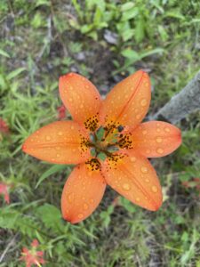 IMG 8741   Biosphere Education