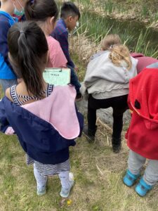 JEnnifer Perry2   Gillian Judson