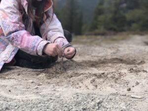 Paula Huddy1   Gillian Judson