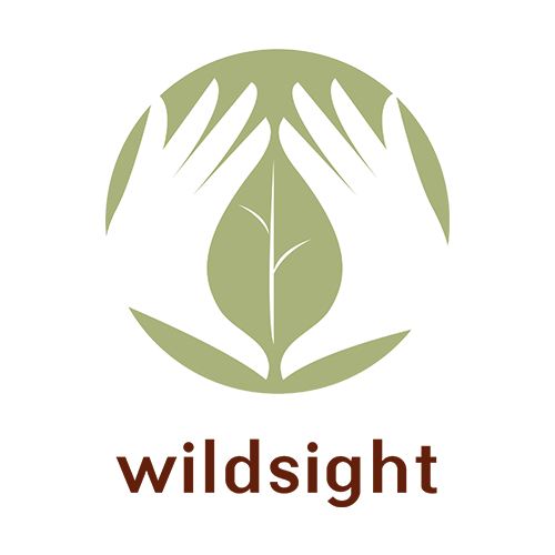 Wildsight Logo Square