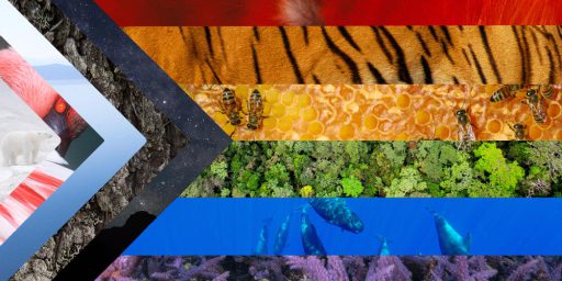 9clf4b5rbo Pride In Nature 2025 No Byline