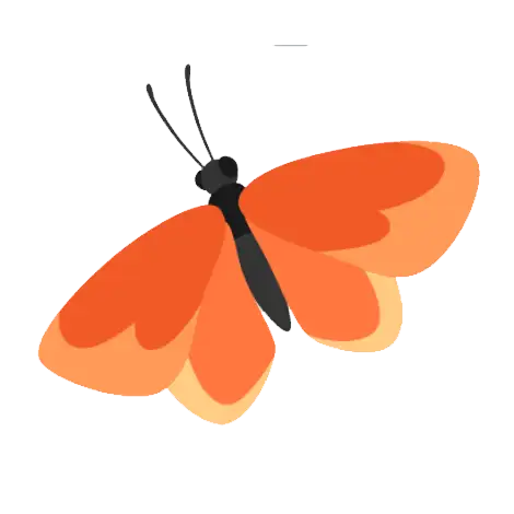 Orange Butterfly