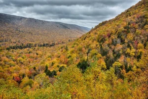 Take Me Outside Fall Mountain