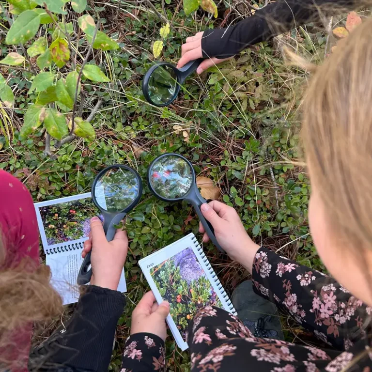 Take Me Outside - Learning Outside Gallery Image